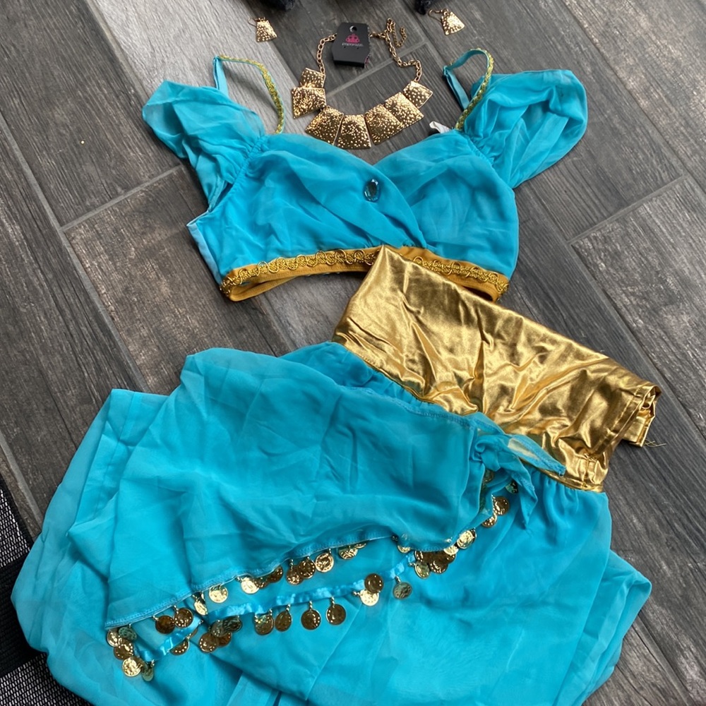 Jasmine adult Halloween costume
